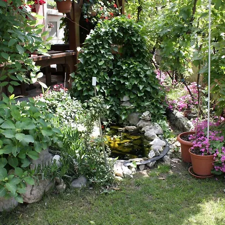 Double 5363c Guest house