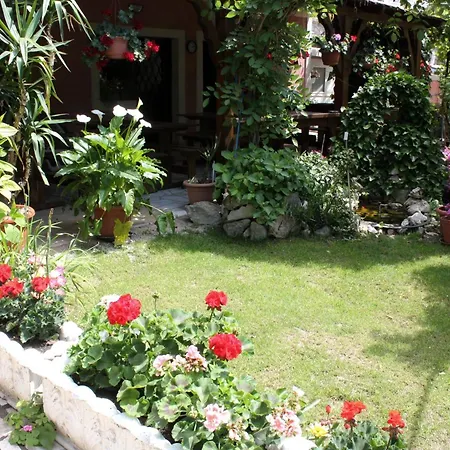 Double 5363c Guest house