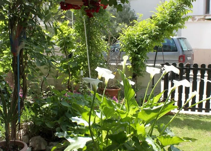 Double 5363c 게스트하우스 3*